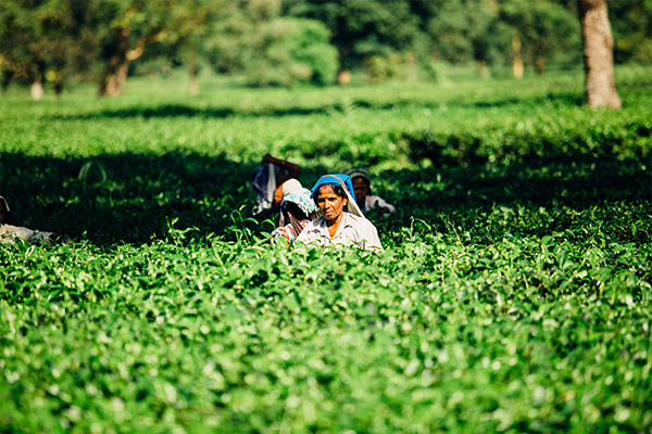 Making farmers smile